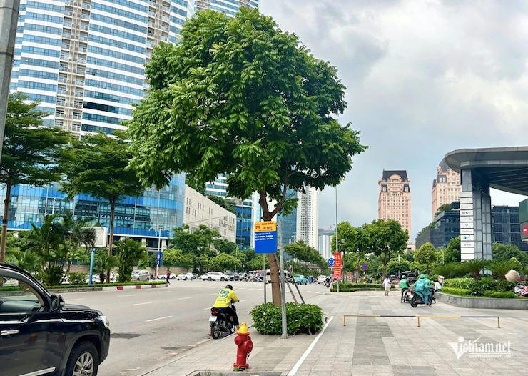 Ngày nào tôi cũng dậy từ sớm, về lúc tối muộn, vừa kiếm tiền vừa lo việc nhà