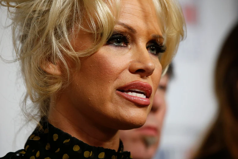 Pamela Anderson tiết lộ cuộc chiến chống lại bệnh