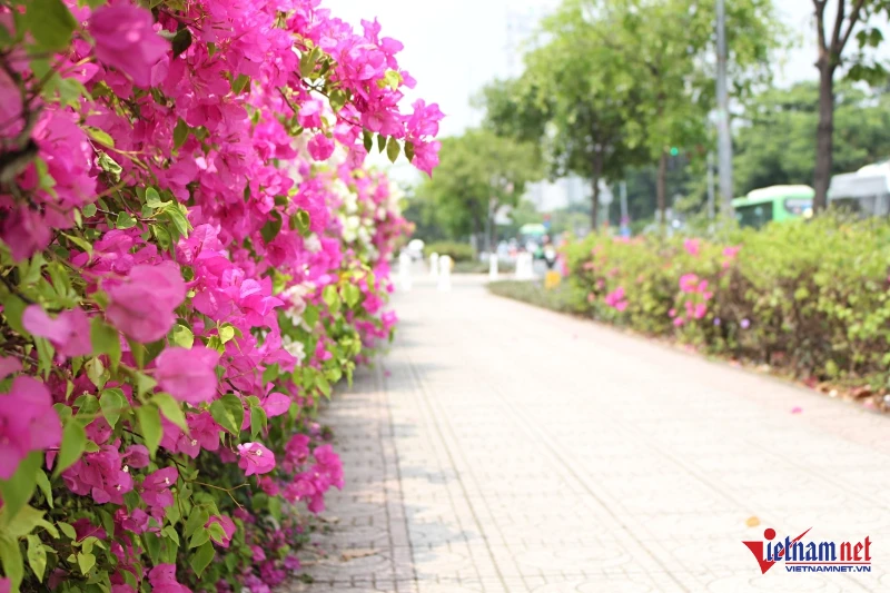 Tôi có nên chấp nhận mang tiếng là người nhẫn tâm, phụ bạc