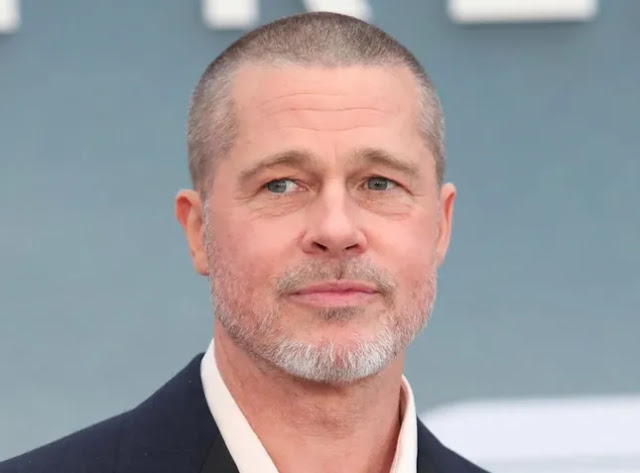 Brad Pitt xem vụ ly hôn với Angelina Jolie-1951-1