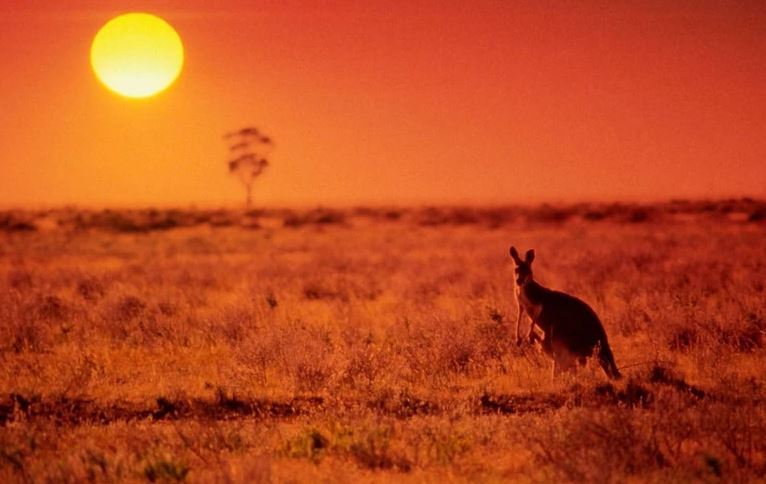 Nhiệt độ cao bất thường vào mùa Đông tại Australia-437-1