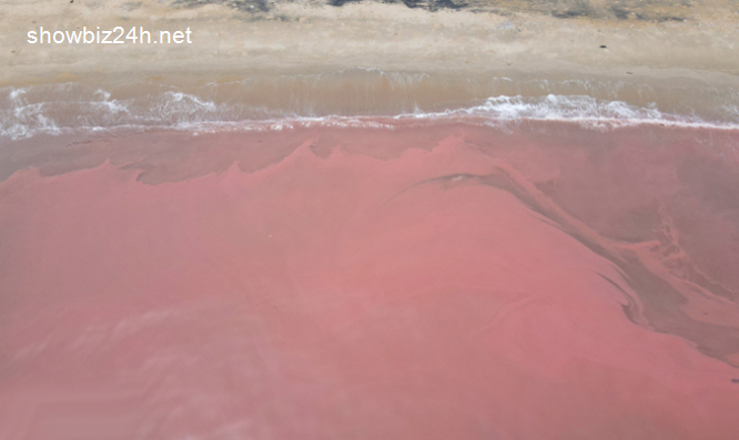 Nước biển huyện Cẩm Xuyên đổi màu đỏ kỳ lạ-141-1